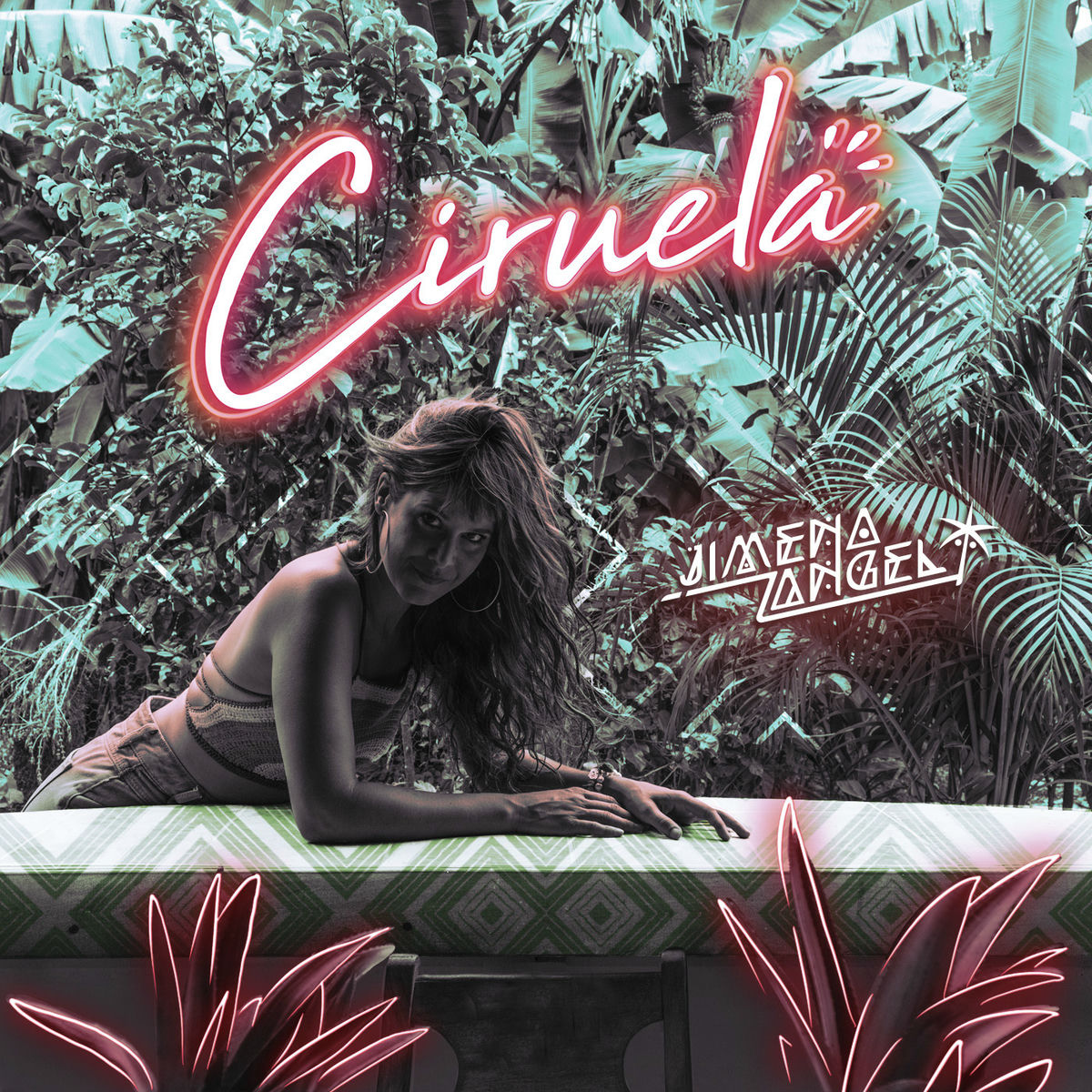 Album cover of Ciruela