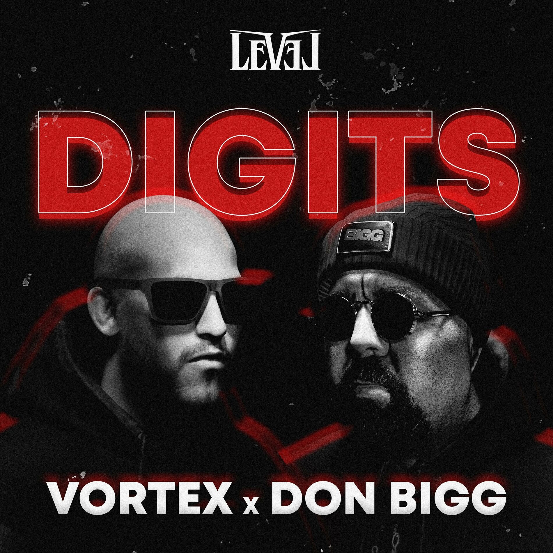 Album cover of DIGITS (feat. Don Bigg & Big Moe)