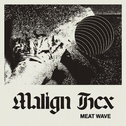 Cover of Malign Hex