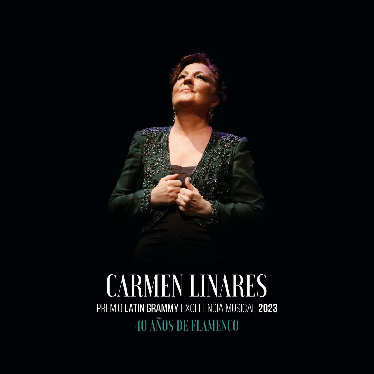 Album cover of 40 años de Flamenco (En Directo)