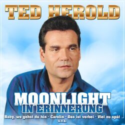 Cover of Moonlight - In Erinnerung