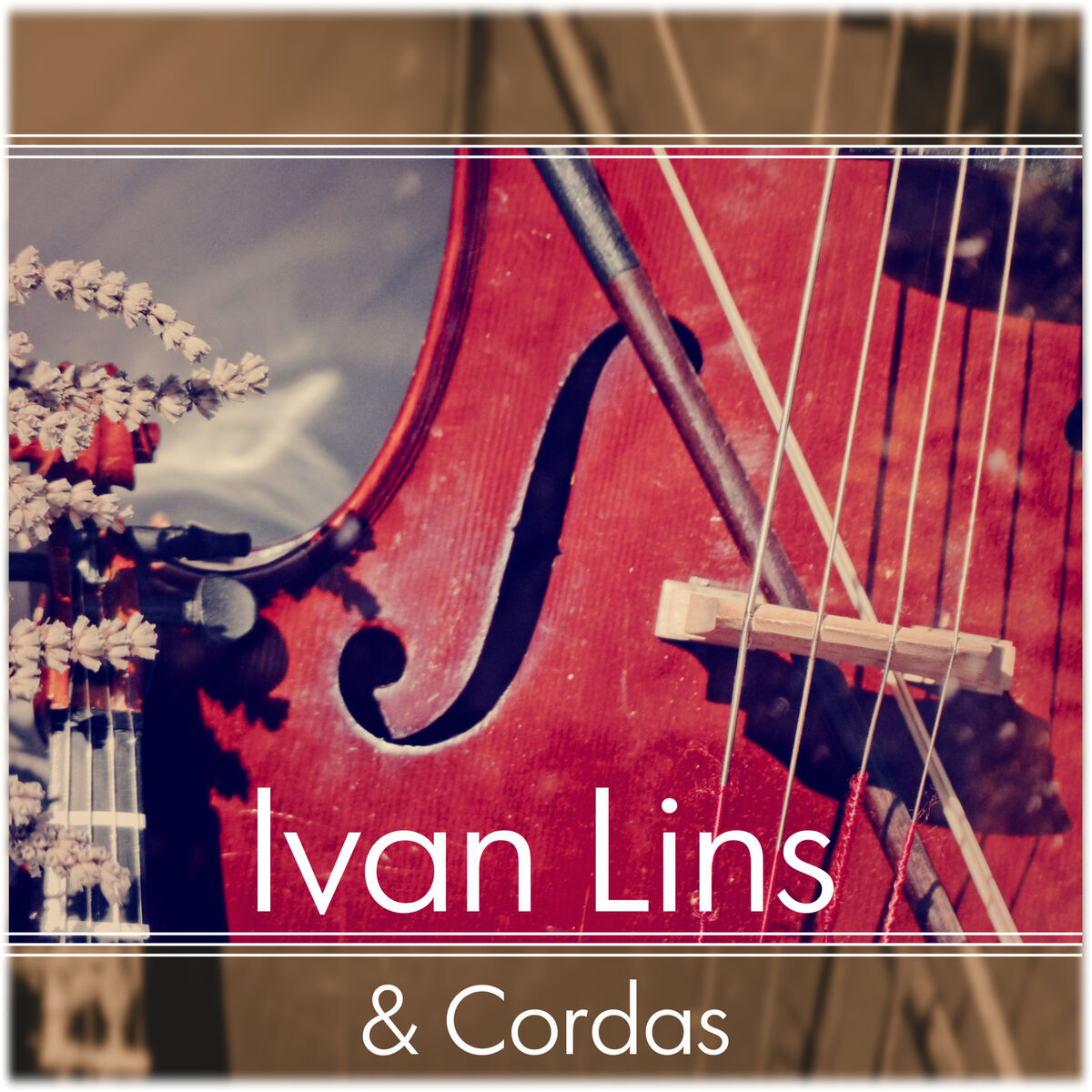 Album cover of Ivan Lins, Parceiros & Cordas