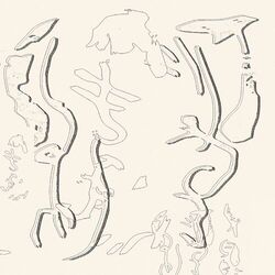 Cover of Insomne