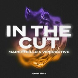 Cover of In The Cut