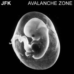 Cover of Avalanche Zone