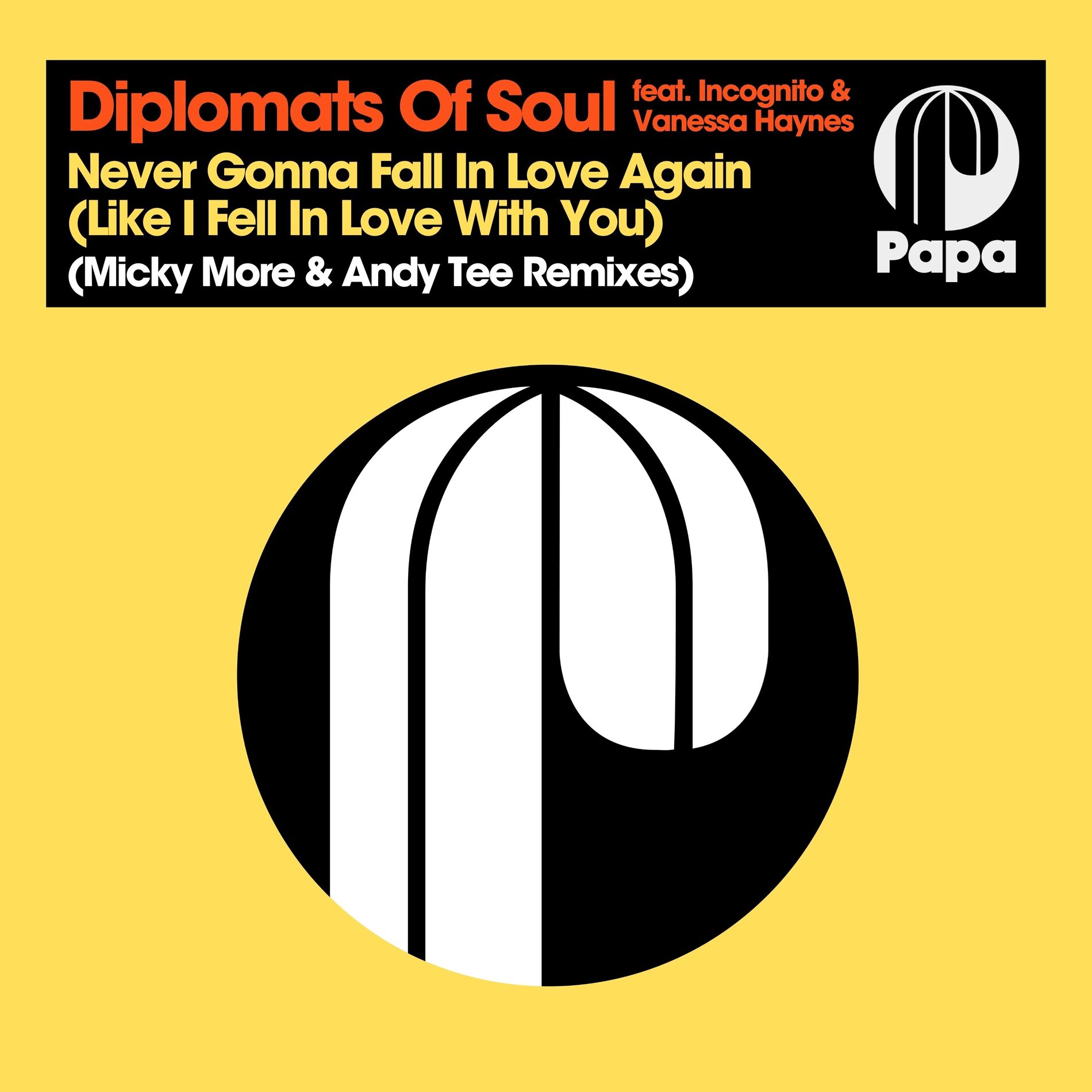 Album cover of Never Gonna Fall In Love Again (Like I Fell In Love With You) (Micky More & Andy Tee Remixes)