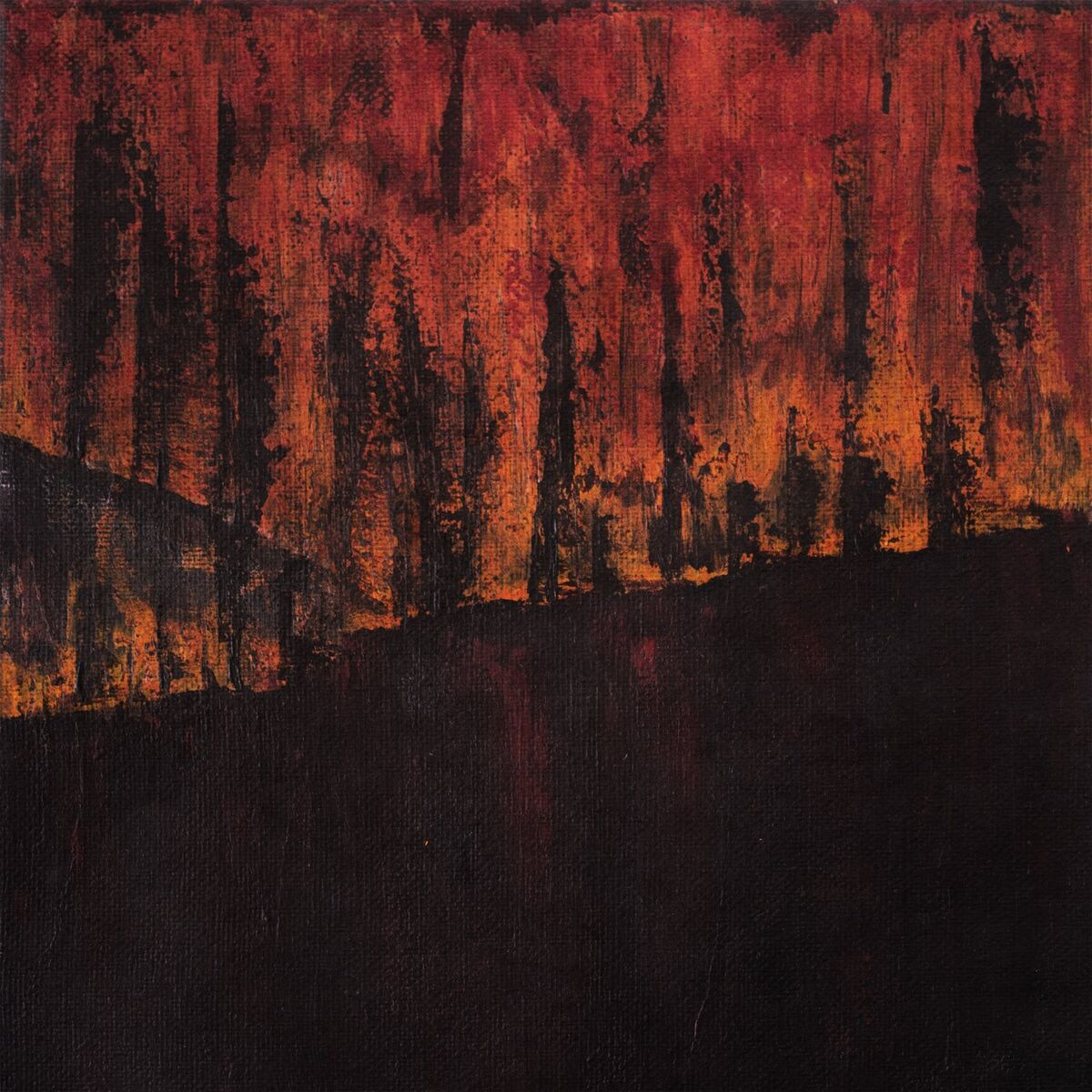 Album cover of In the Night
