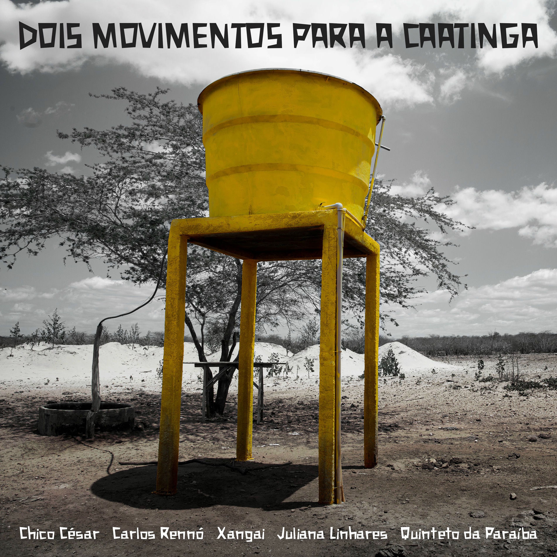 Album cover of Dois Movimentos para a Caatinga