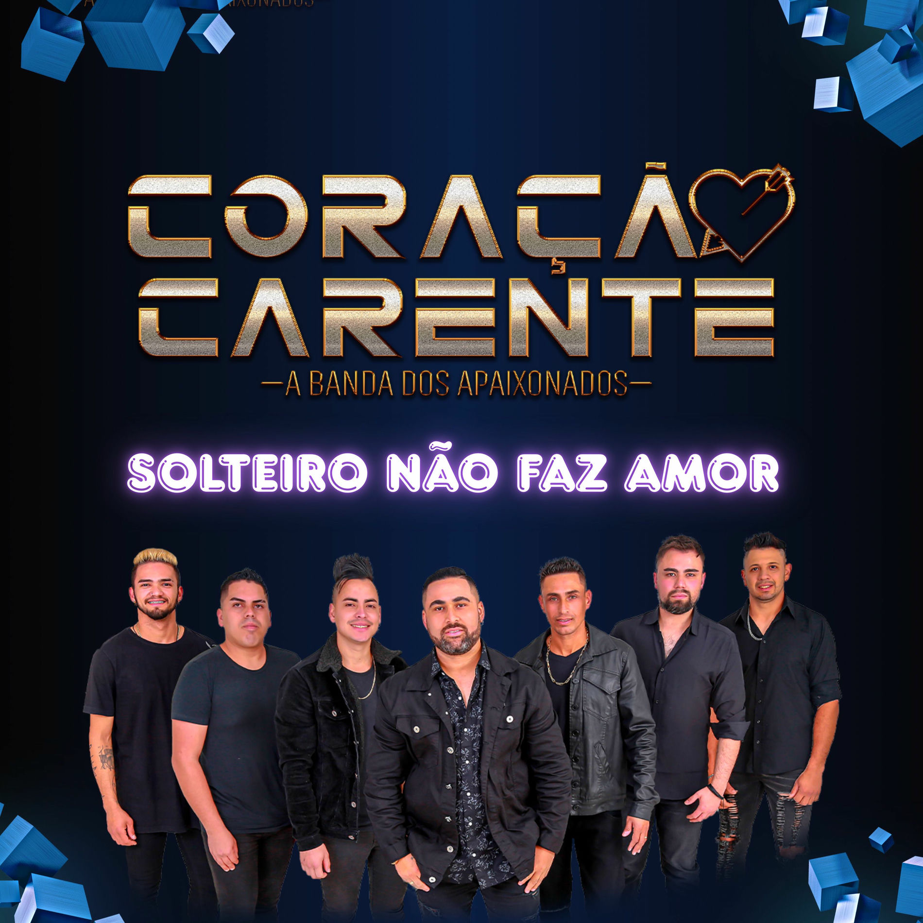 Album cover of Solteiro Não Faz Amor