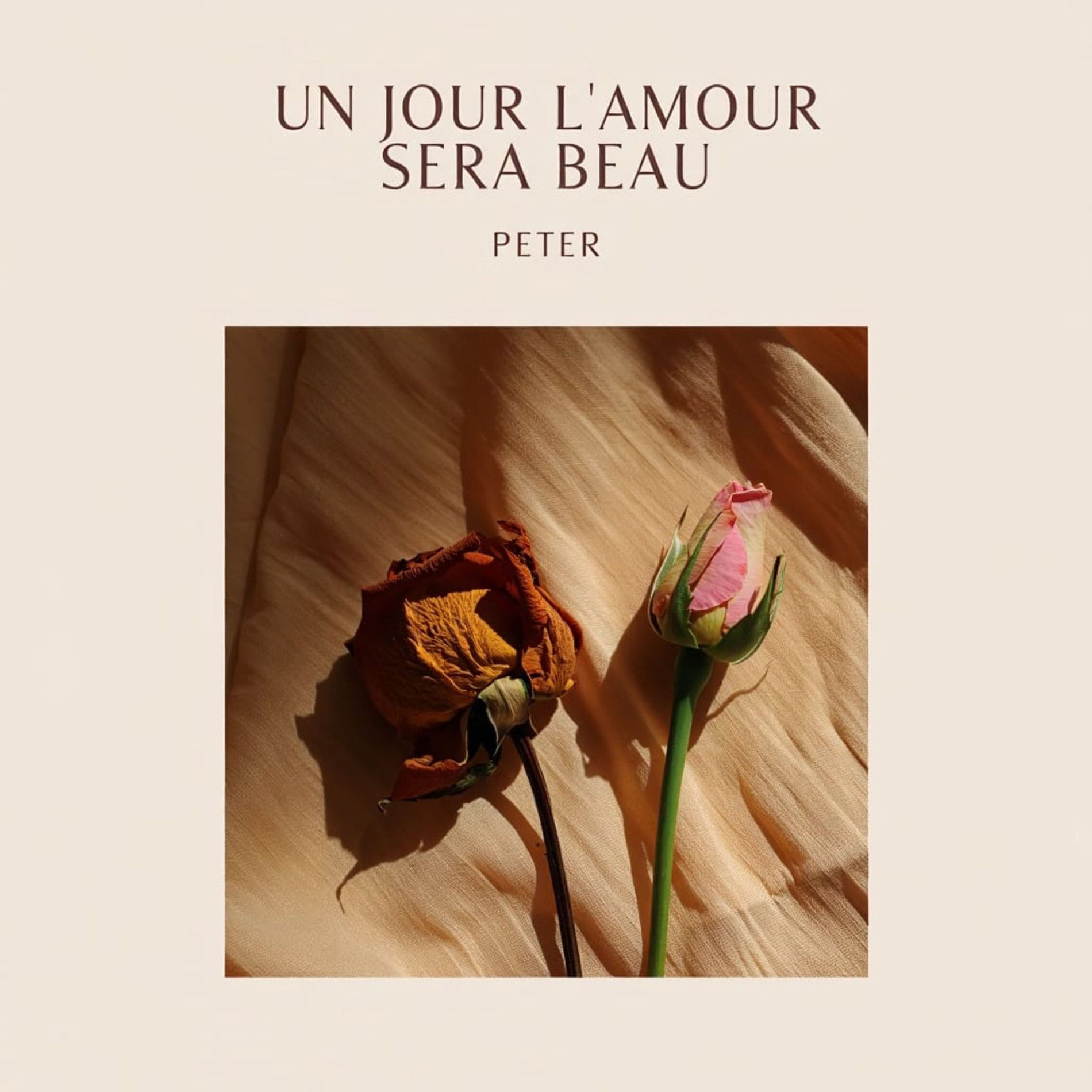 Album cover of Docteur