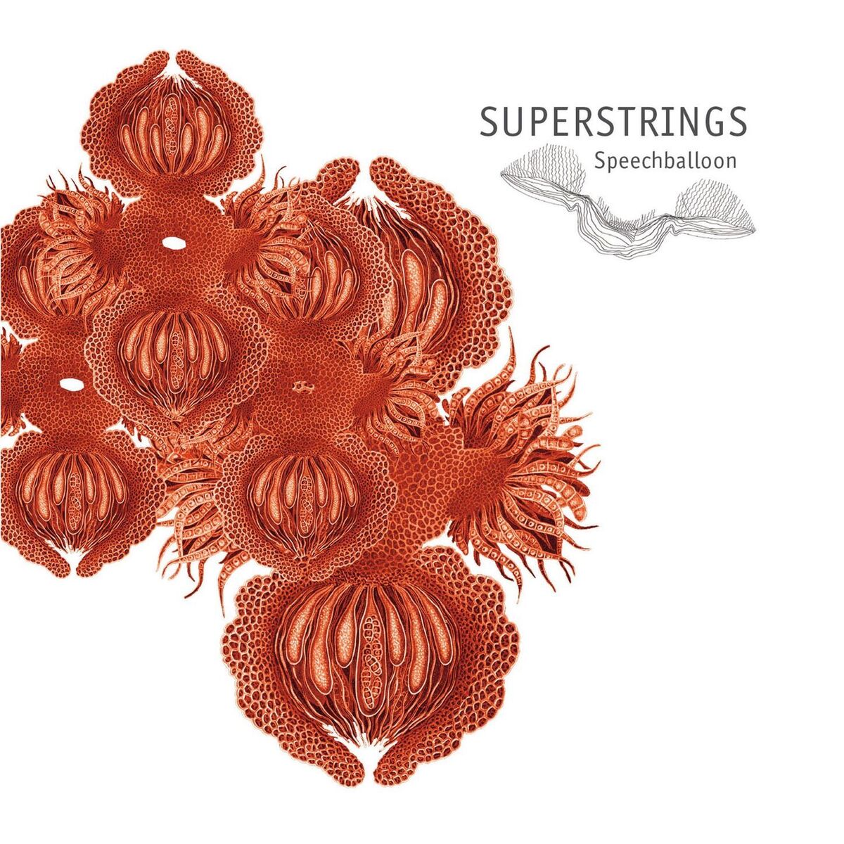 Album cover of Speechballoon