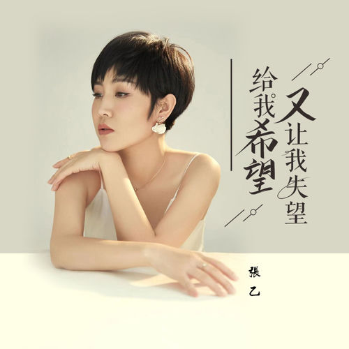 给我希望又让我失望 (DJ默涵版)