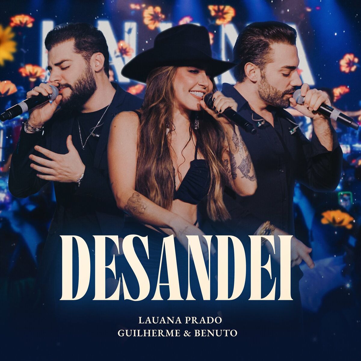 Album picture of Desandei (Ao Vivo)