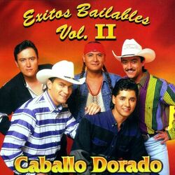 Cover of Exitos Bailables Vol. II