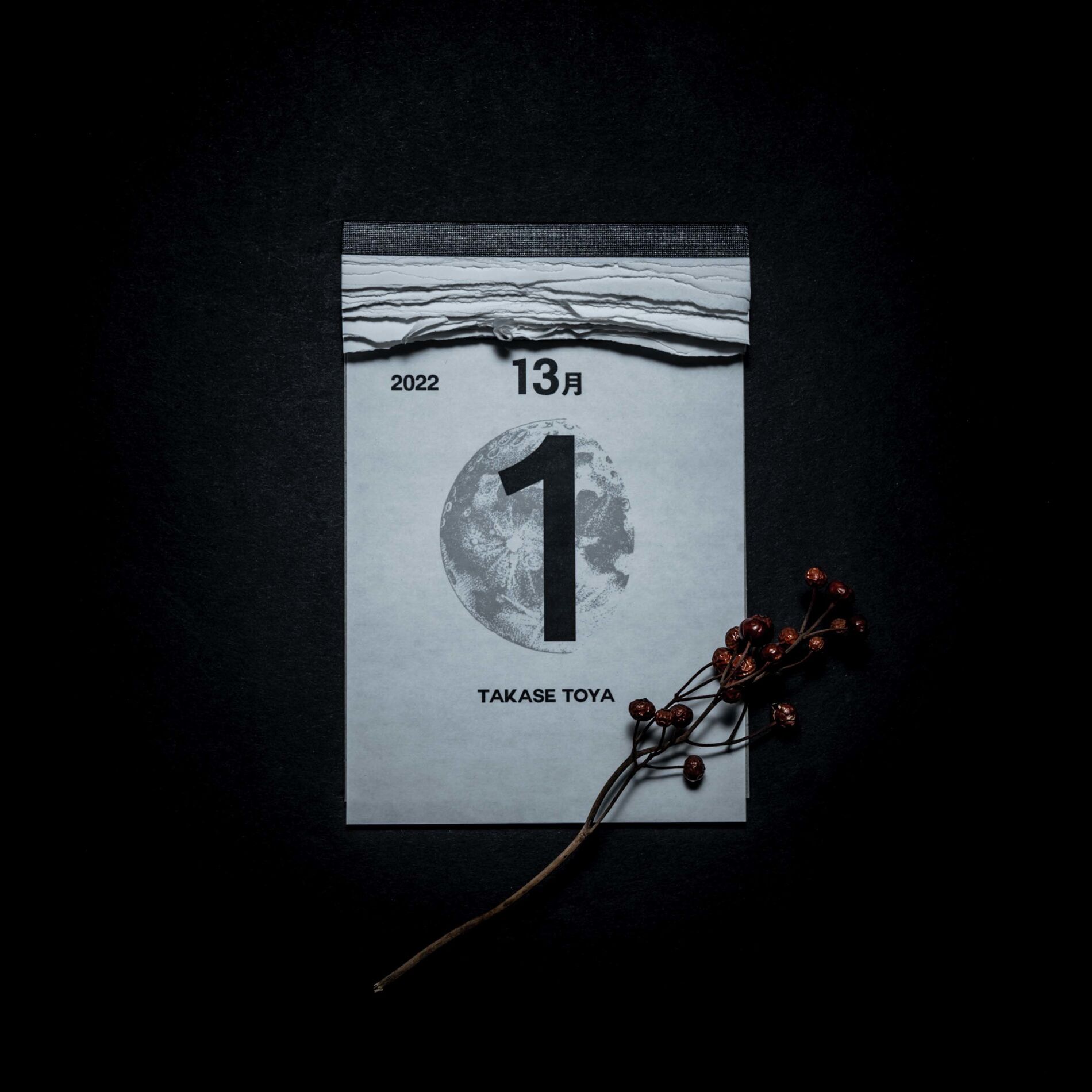 Album cover of The 1st of the 13th month