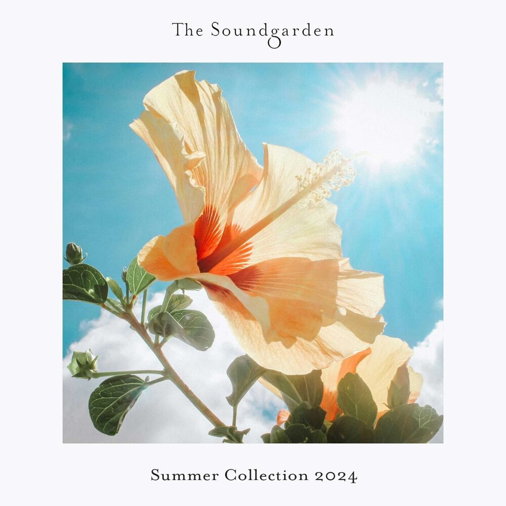 Picture of Sunfall (Extended Mix)