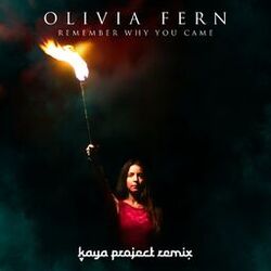 Cover of Remember Why You Came (Kaya Project Remix)