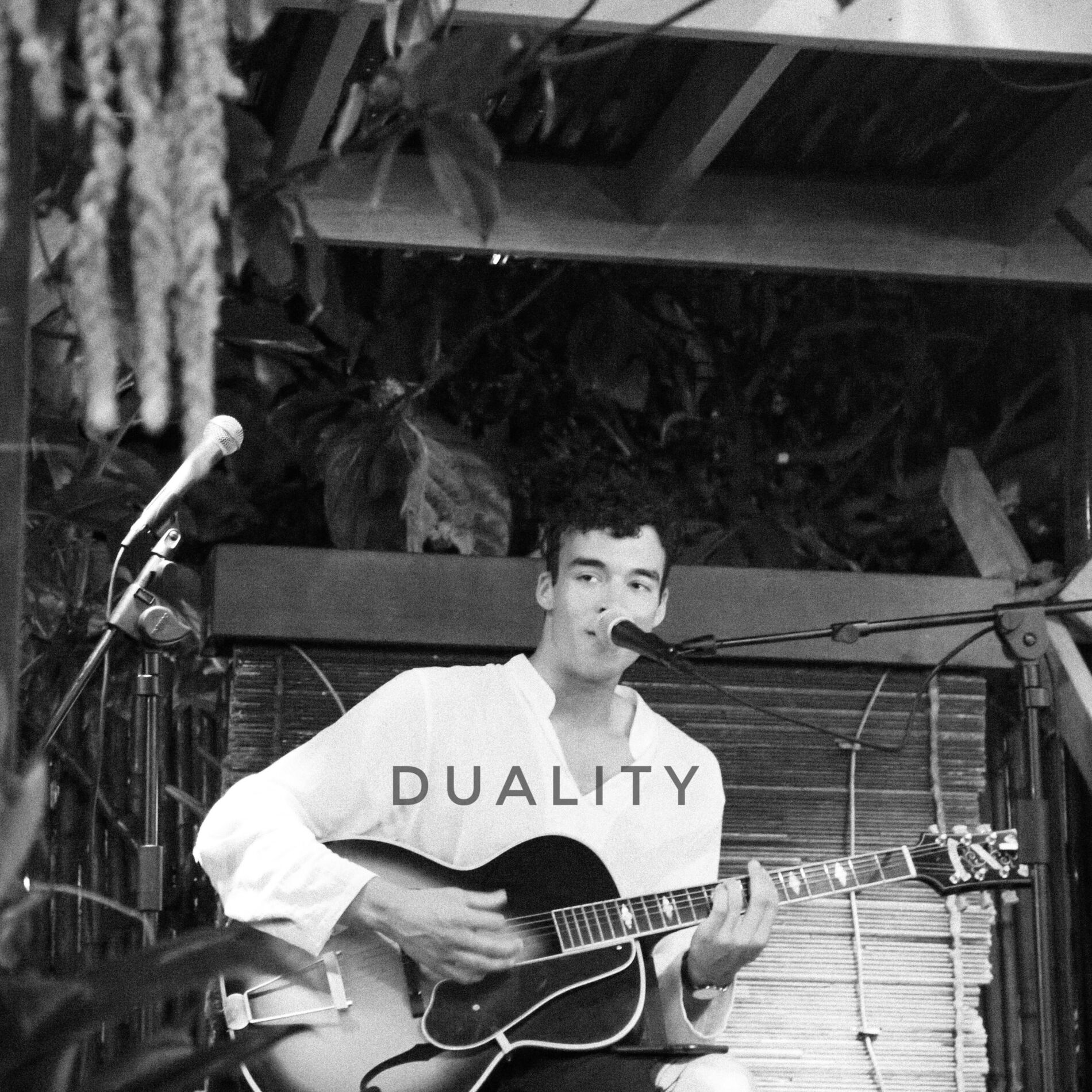 Album cover of Duality
