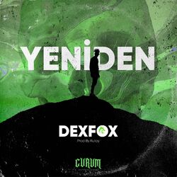 Cover of Yeniden