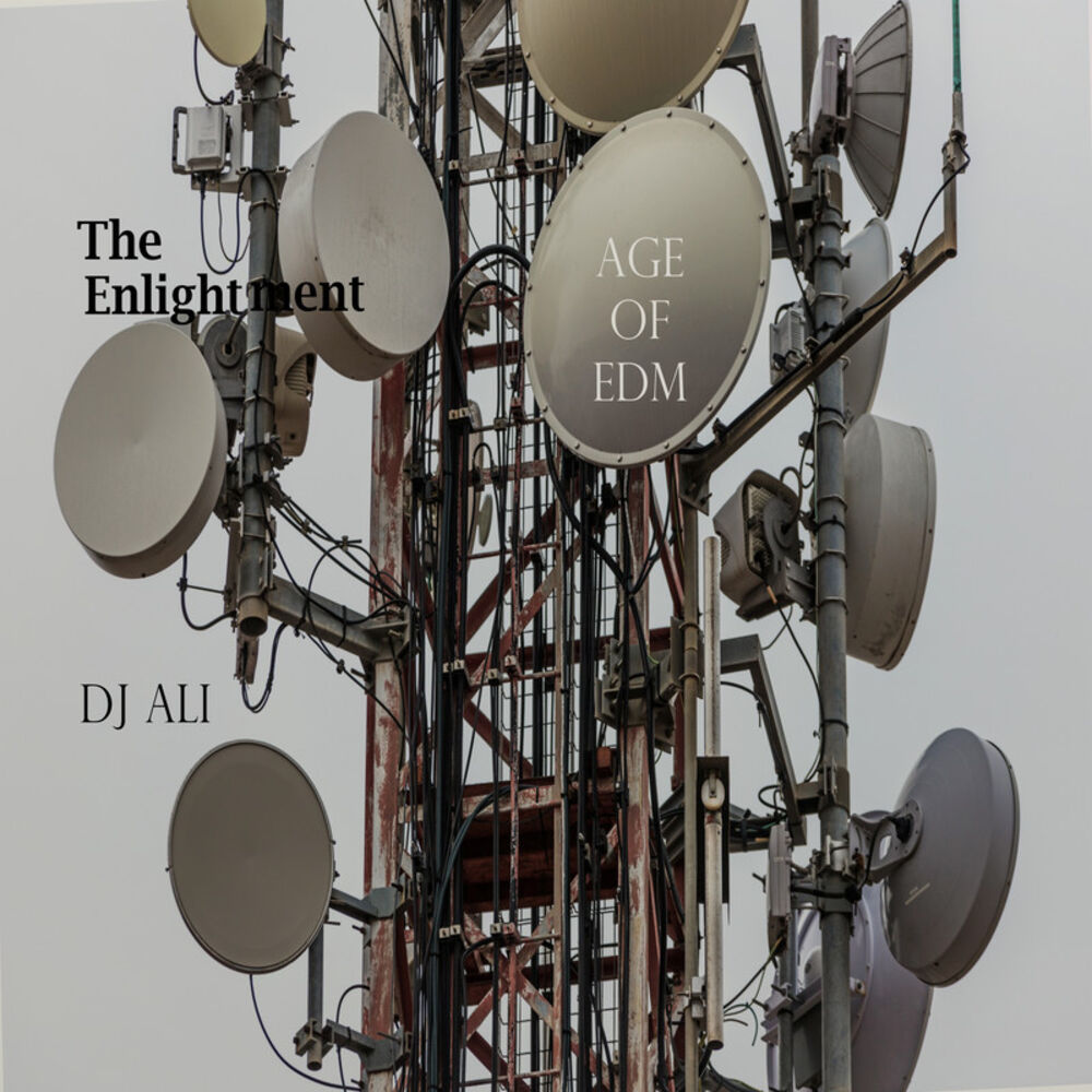 Picture of Age of EDM: The Enlightment