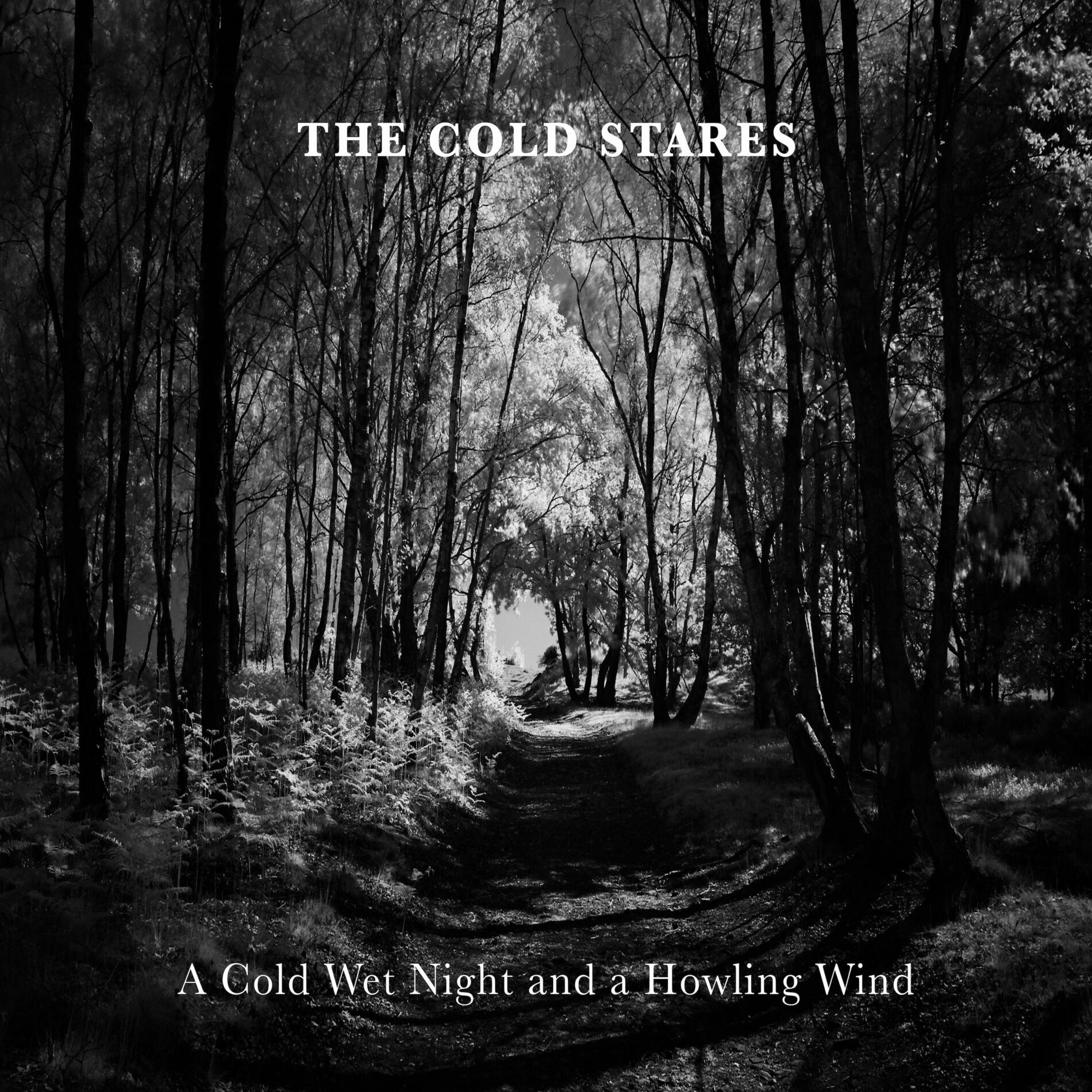 Album cover of A Cold Wet Night and a Howling Wind