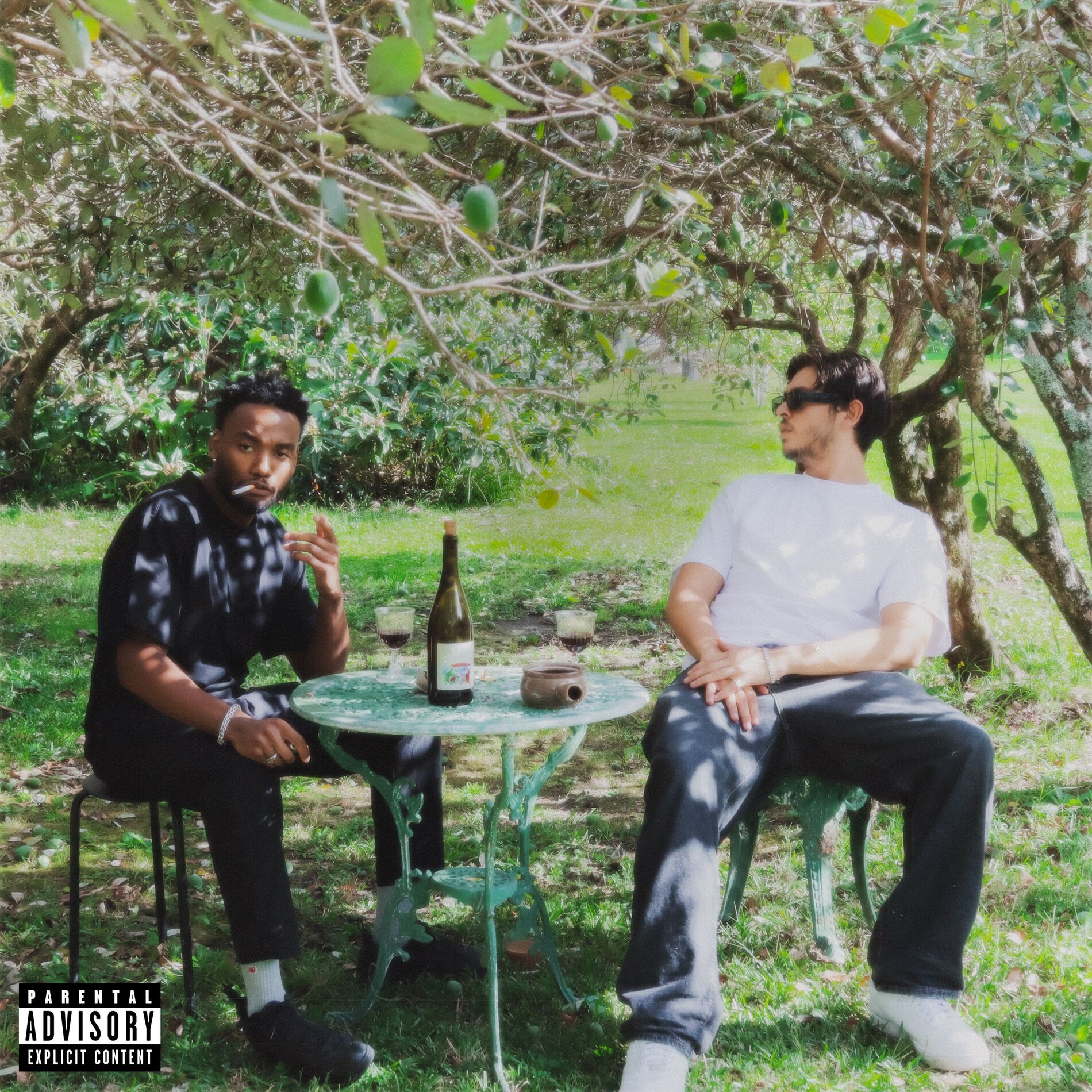 Album cover of THE CURIOUS CASE OF BILL & SLIM