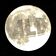 Whispers Under the Moonlight