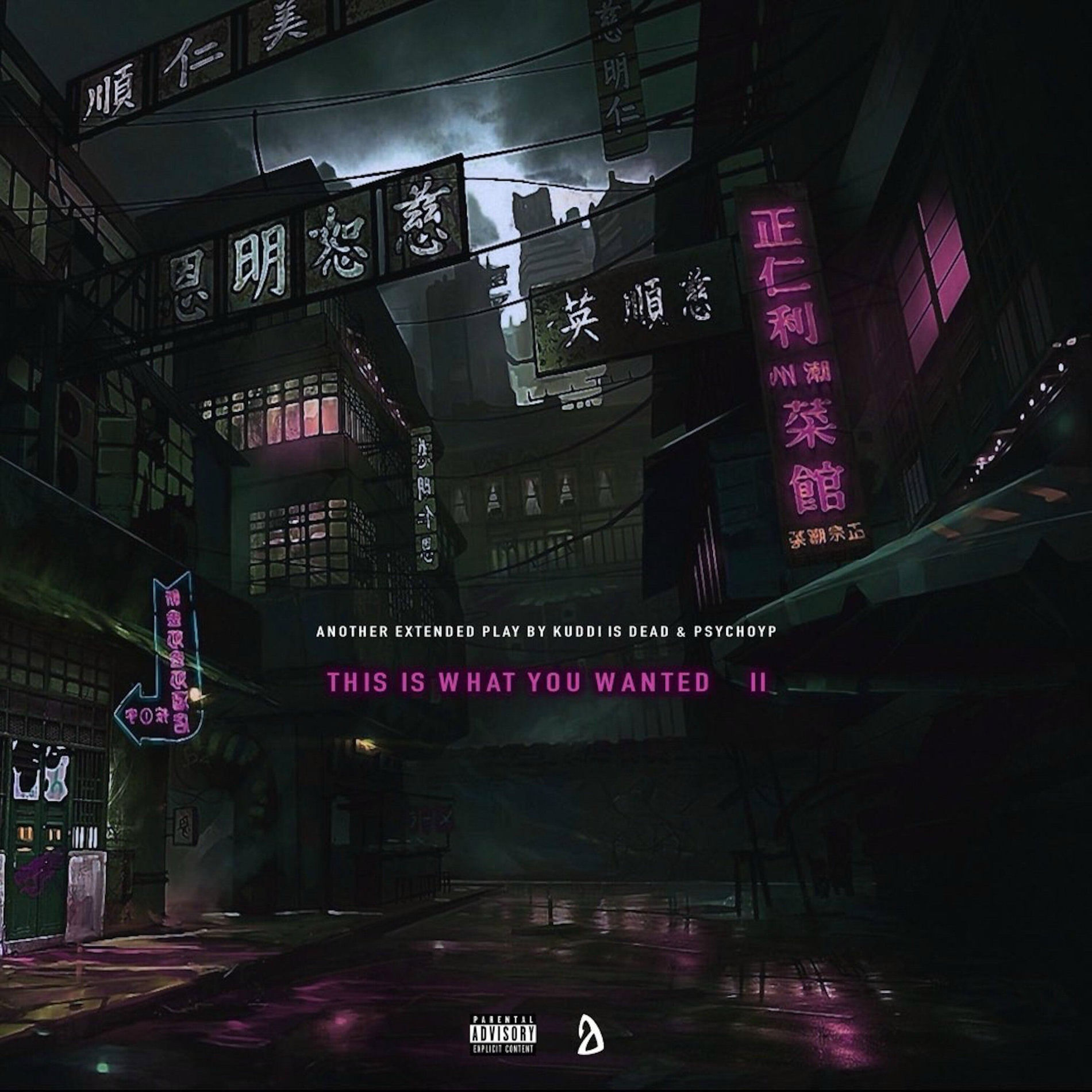 Album cover of This Is What You Wanted II