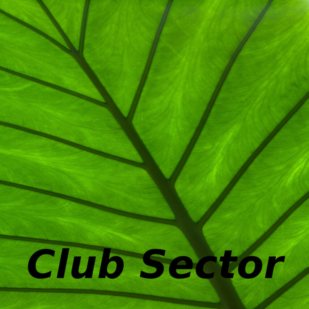 Picture of Club Sector