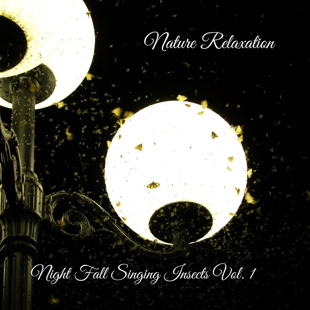 Picture of Nature Relaxation: Night Fall Singing Insects Vol. 1