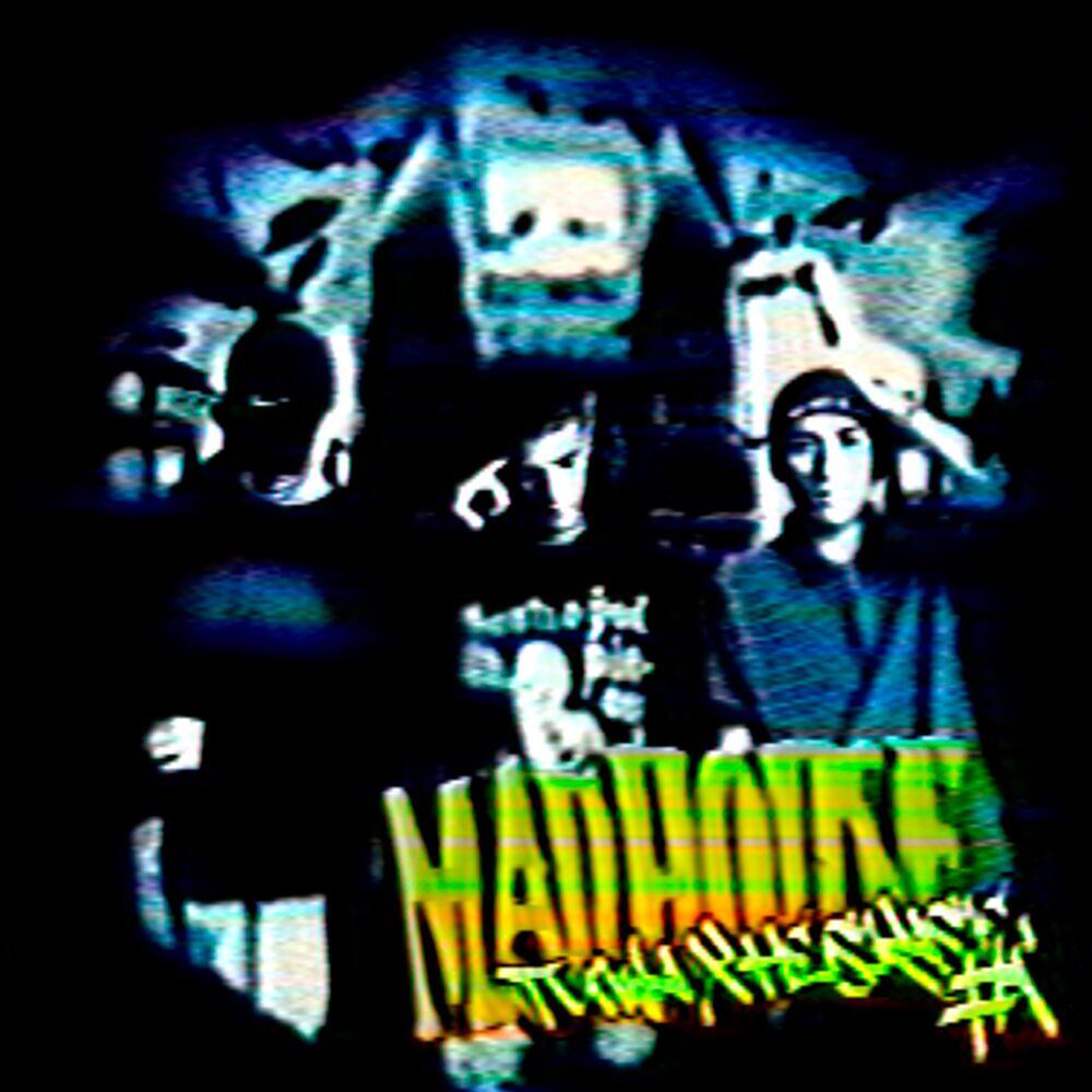 Picture of Mad House #1