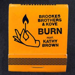 Cover of Burn