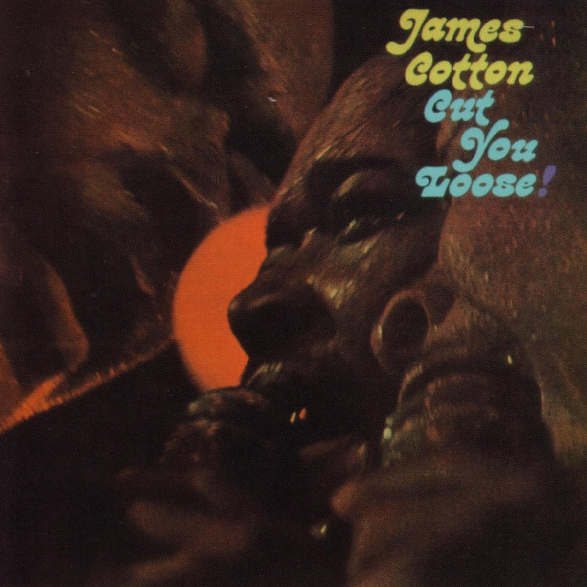 Album cover of Cut You Loose!