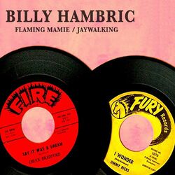 Cover of Flaming Mamie / Jaywalking