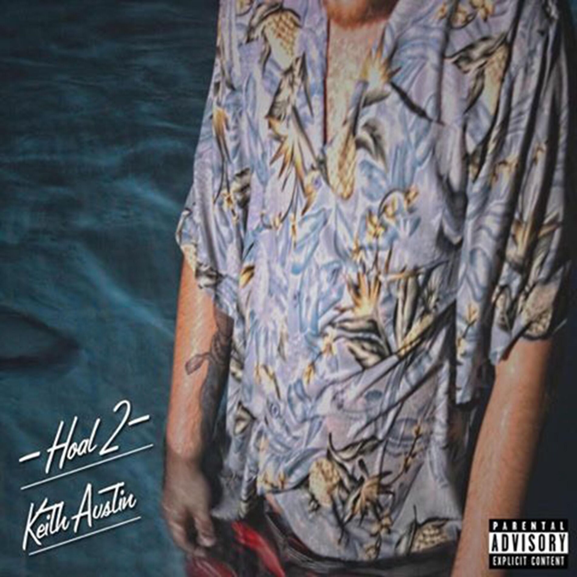 Album cover of Hoal 2