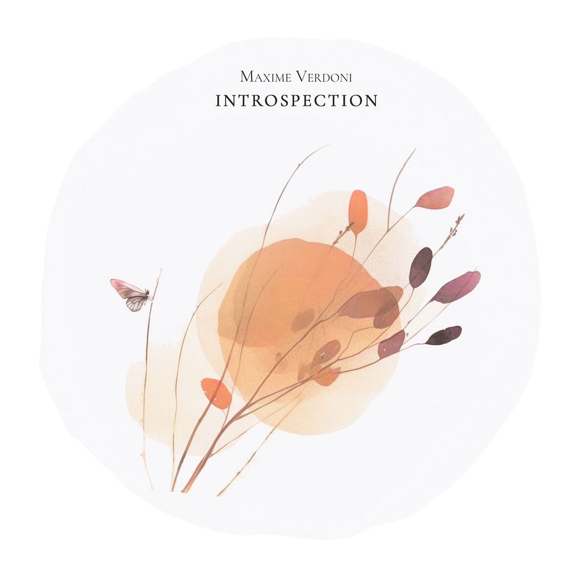 Album cover of Introspection