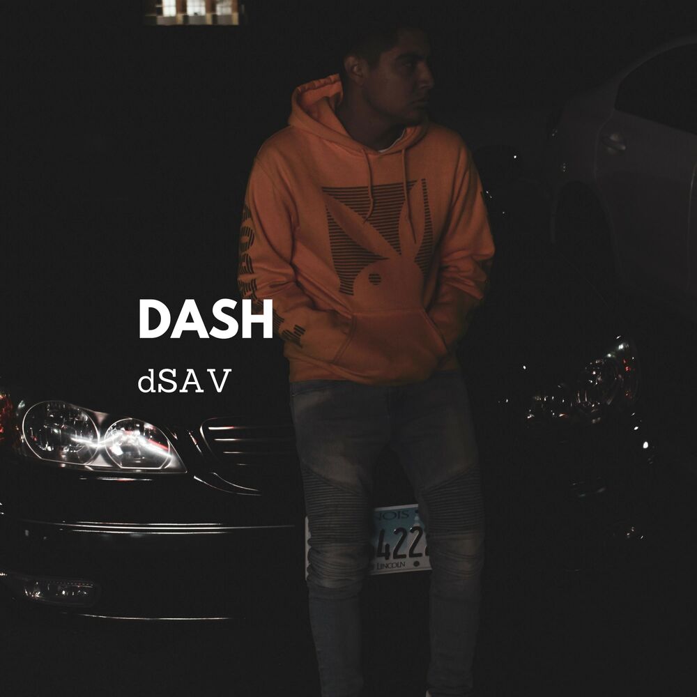 Picture of Dash