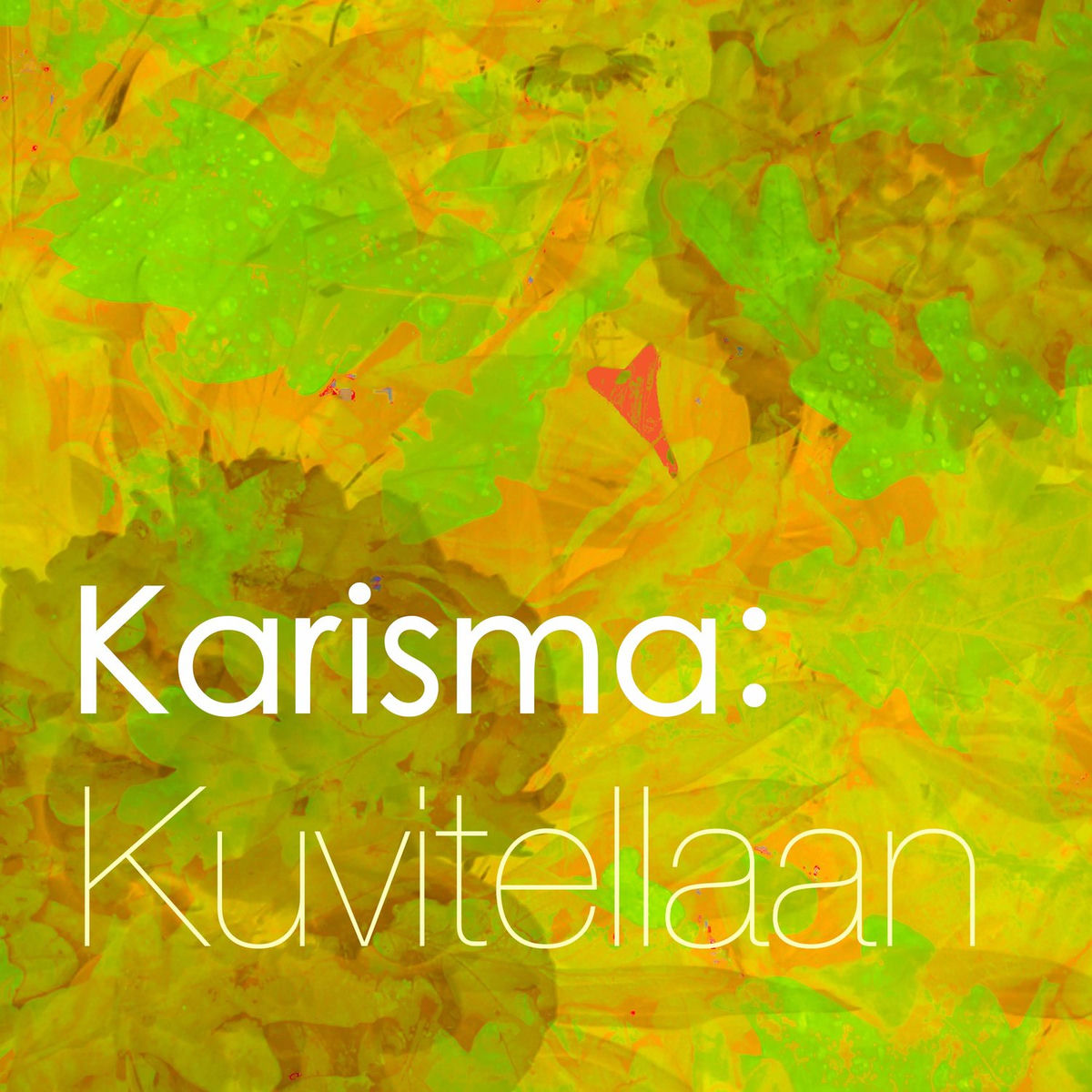 Album cover of Kuvitellaan