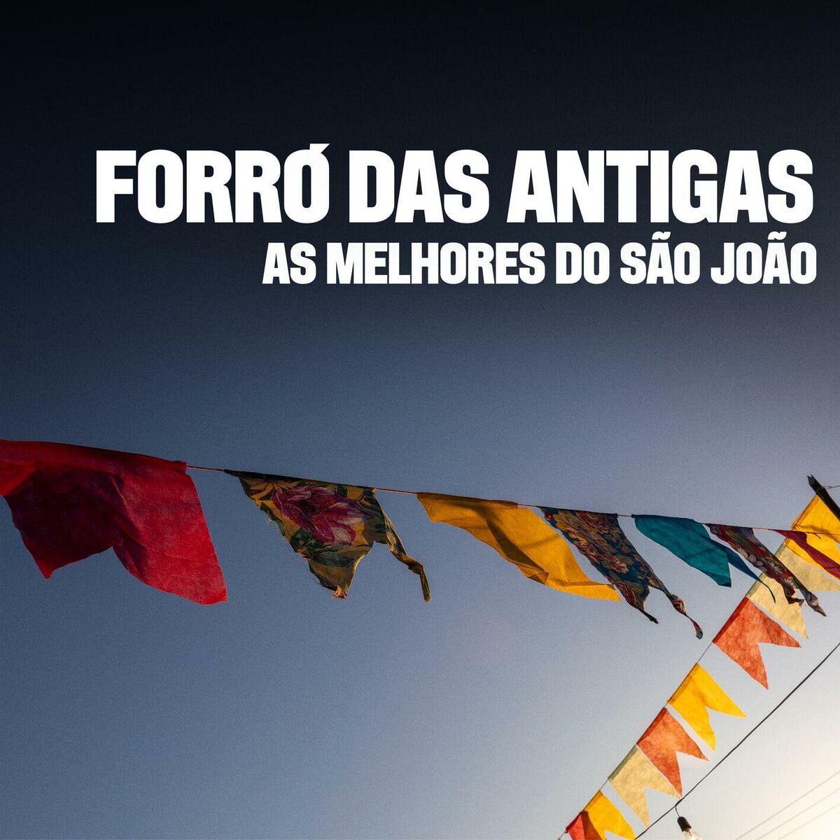 Album cover of São Amores