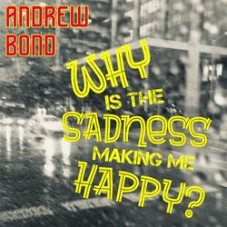 Cover of Why Is The Sadness Making Me Happy?