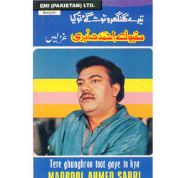 Cover of Tere Ghunghroo Toot Gaye To Kya (Ghazals)