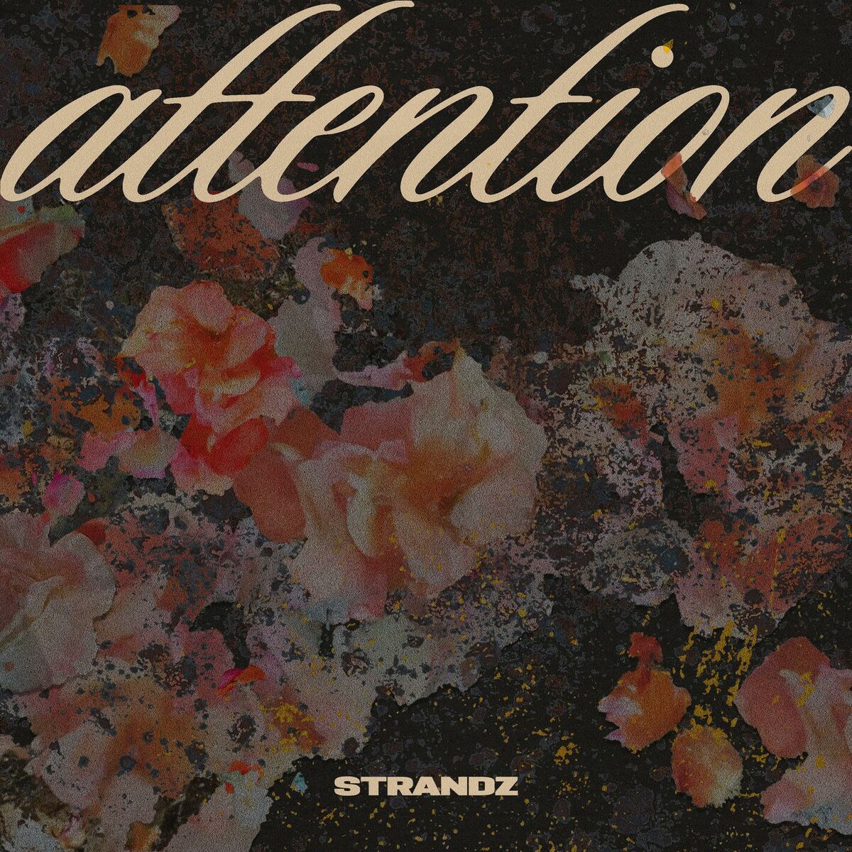 Album cover of Attention