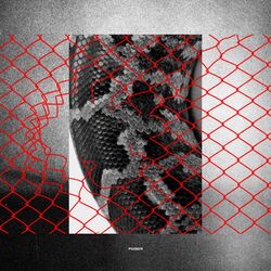 Cover of Poison