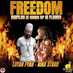 Cover of Freedom (Babylon Is Going Up In Flames)