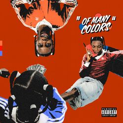 Cover of "Of Many Colors": Orange