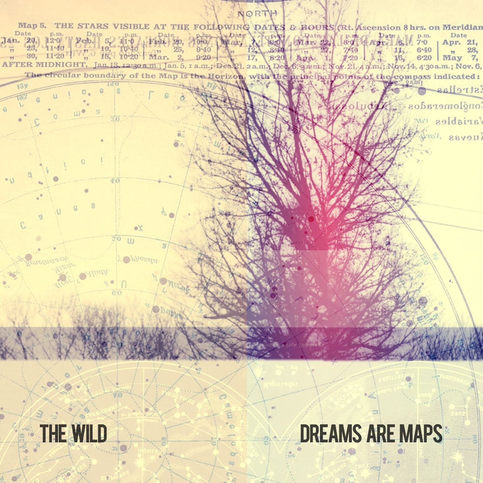 Album cover of Dreams Are Maps