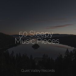 Cover of 50 Sleepy Music Pieces