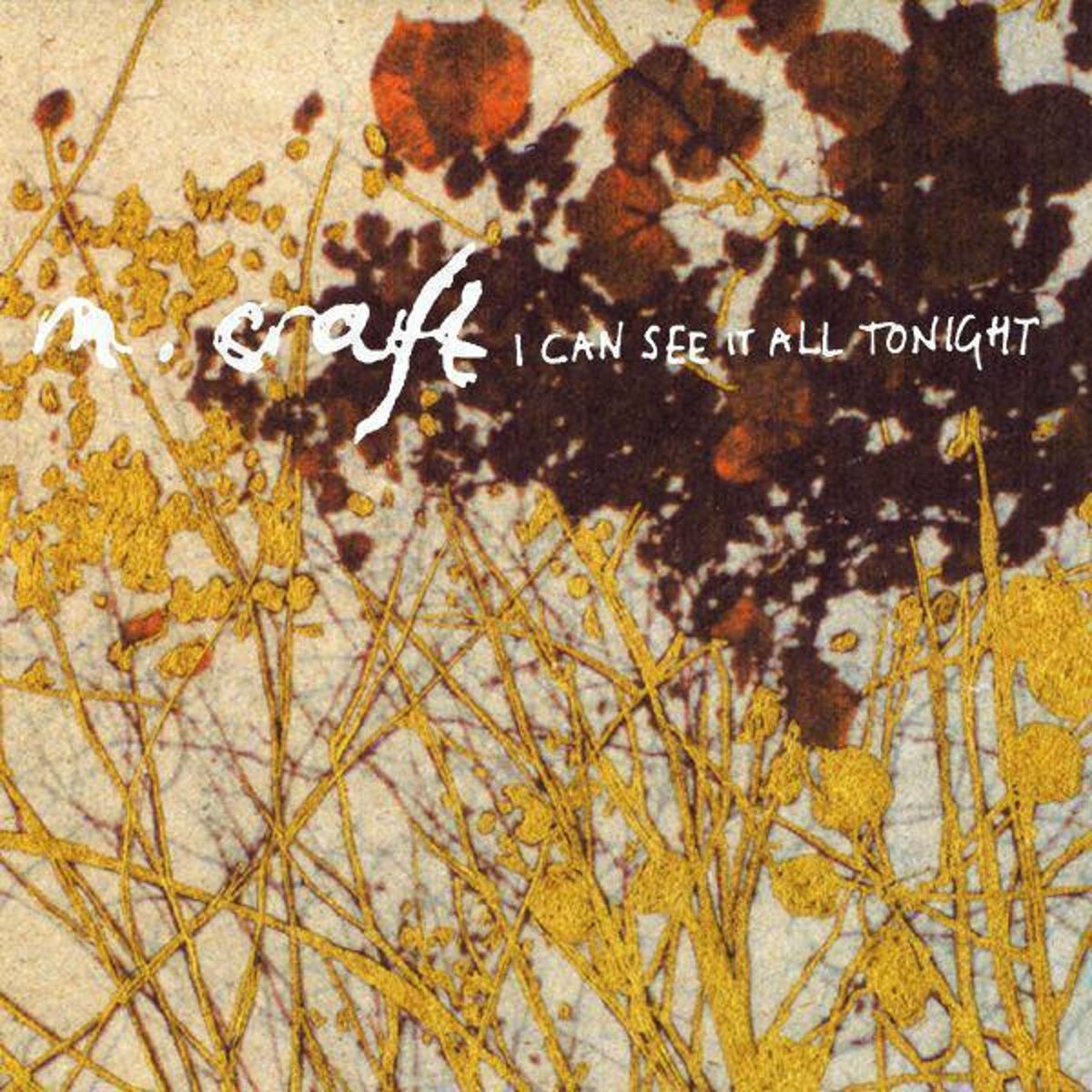 Album cover of I Can See It All Tonight