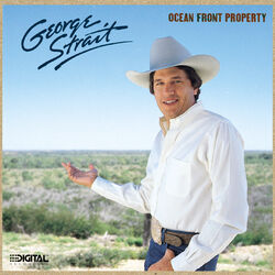Cover of Ocean Front Property
