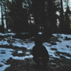 Pochette album